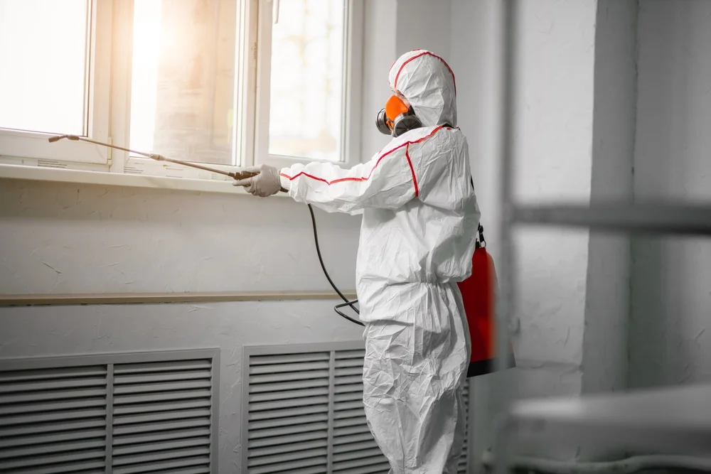 Professional mold remediation services in Saint Charles, MI